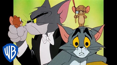 Tom and Jerry Cartoon Compilation