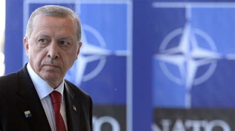 Turkey NATO reform