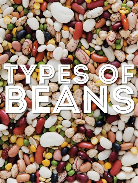 Description of Types of Beans