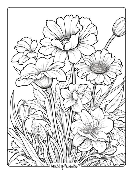 Types of Flower Colouring Pages