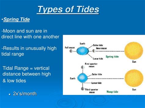 Types of Boston Tide Calendars