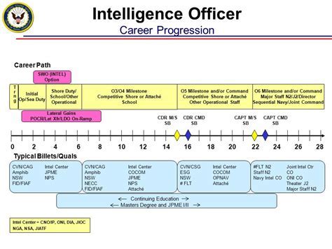 US Army Officer Career Paths