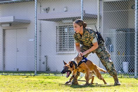 US Marine Corps Careers