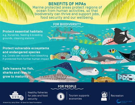 US Marine Reserves Wildlife