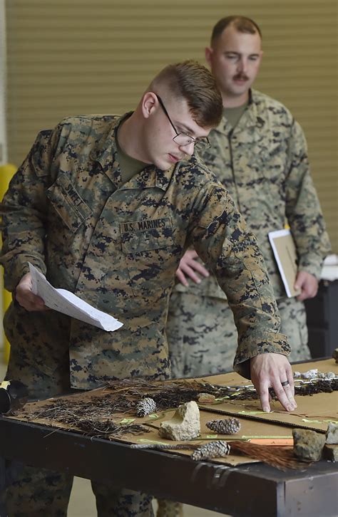 USMC Reserve Battalions Infantry