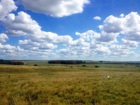 Uruguay Landscape