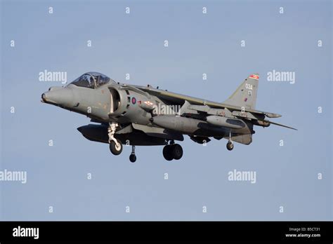 Harrier GR9