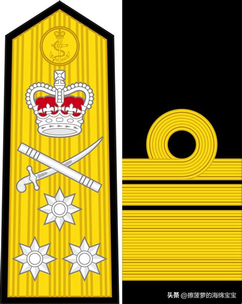 Vice Admiral Rank