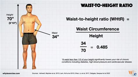 Waist Circumference