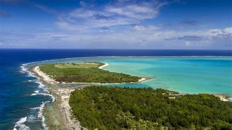 Wake Island's Unique Wildlife