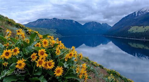 Wallowa Lake Festivals