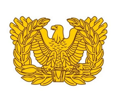 Warrant Officer Insignia