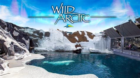 Wild Arctic