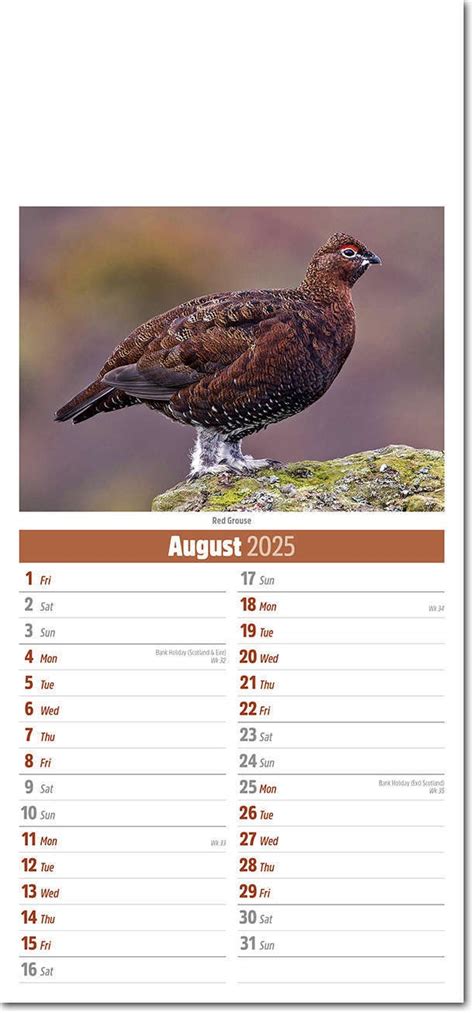 Wildlife Compact Calendar