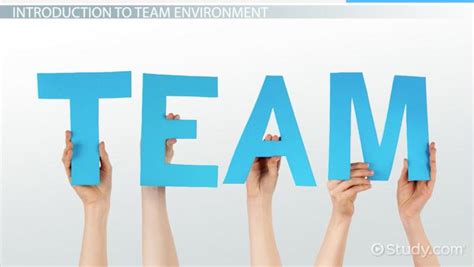 Working Effectively in a Team Environment