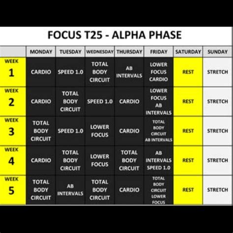 Working Mechanism of T25 Alpha Workout Calendar