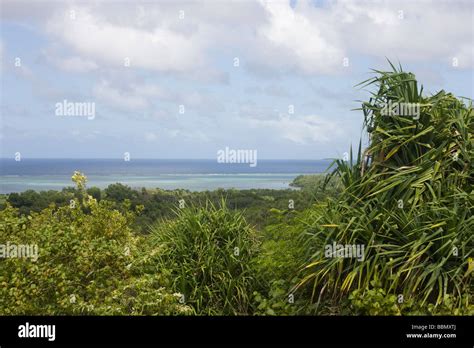 Yap Island Landscape