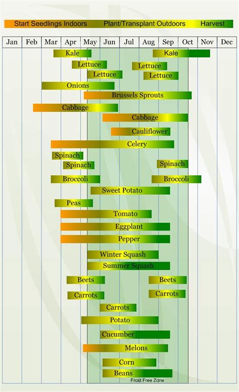 Additional Tips and Resources for Gardeners in Zone 6