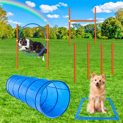 Agility equipment