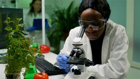 Agricultural Research Scientist Job Description