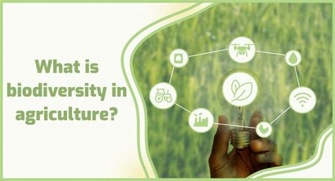 Agriculture and Biodiversity