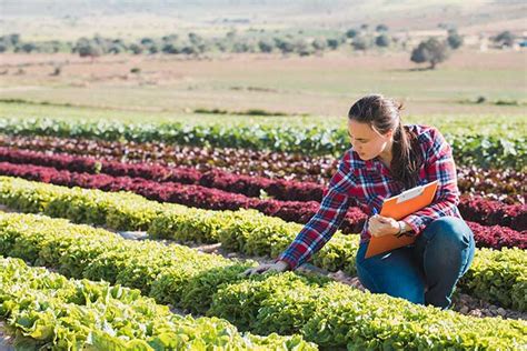 Agriculture and Natural Resources Careers Gallery 5