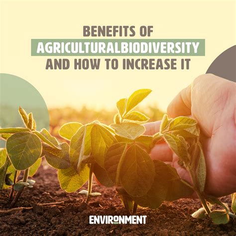 Agriculture Benefits