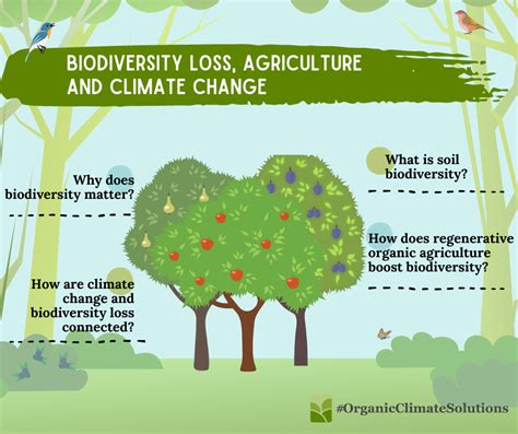 Agriculture biodiversity loss