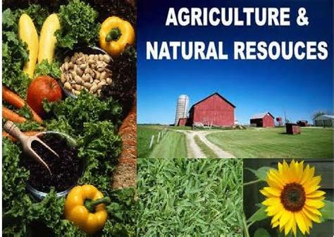 Agriculture, Food, and Natural Resources Management