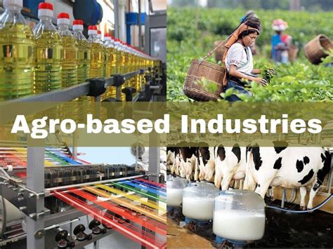 Agriculture industry and business