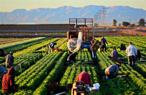 Agriculture jobs image