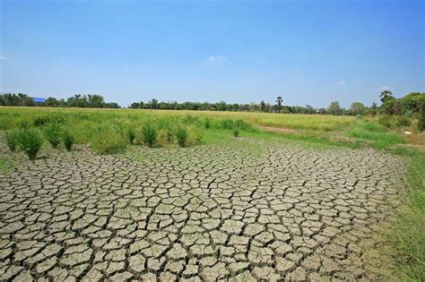 Agriculture land degradation