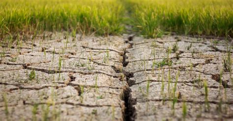 Agriculture soil degradation