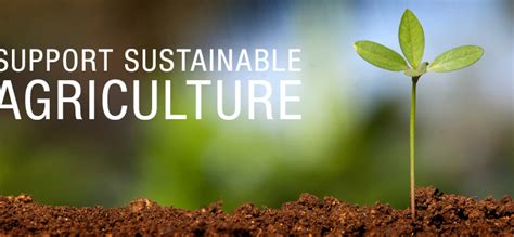 Agriculture sustainability image