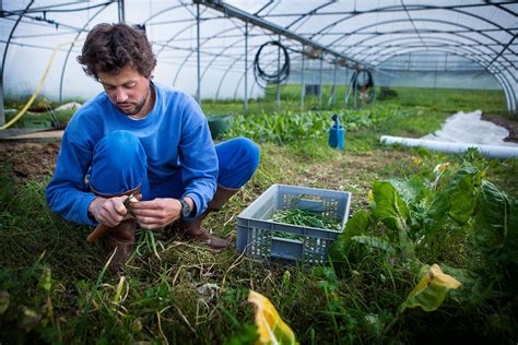 Agriculture techniques