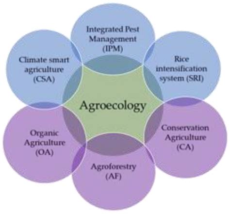 Agroecology