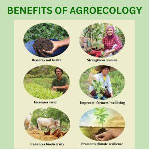 Agroecology benefits