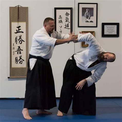 Aikido Practitioner in Action