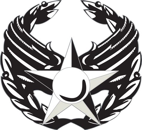 Air Force Command Insignia