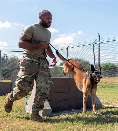 Air Force Dog Handler in Action