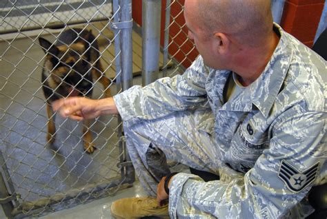 Air Force Dog Handler Deployment Training