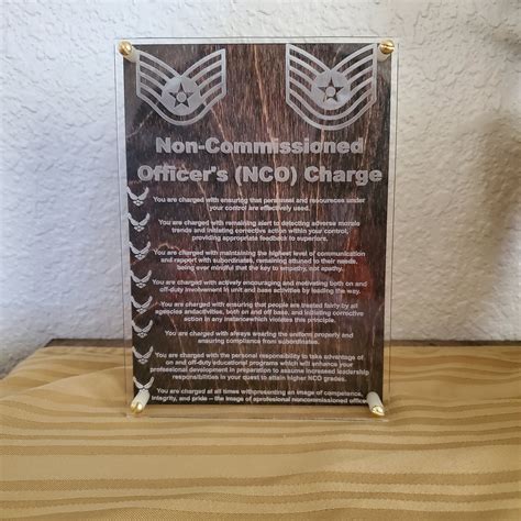 Air Force NCO Charge