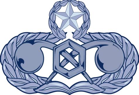 Air Force Occupation Badges