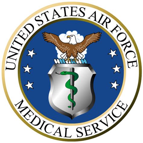 Air Force Surgical Services logo