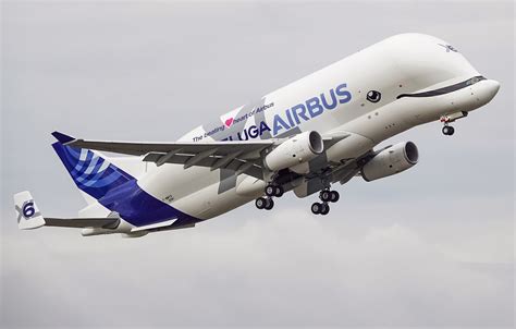 Airbus Beluga in flight