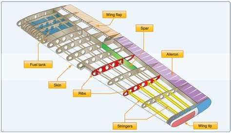 Aircraft wing design, showing the use of airfoils and wingtips