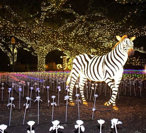 Alabama Gulf Coast Zoo's ZooLights Image