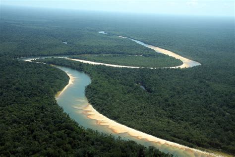 Amazon Basin