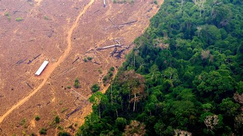 Amazon Deforestation