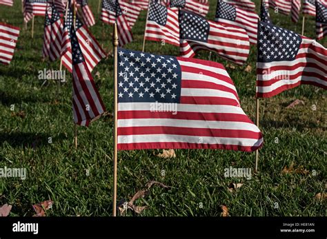 American Flag Honoring Veterans